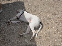 Raduno 4X4 26-07-2015 (43)